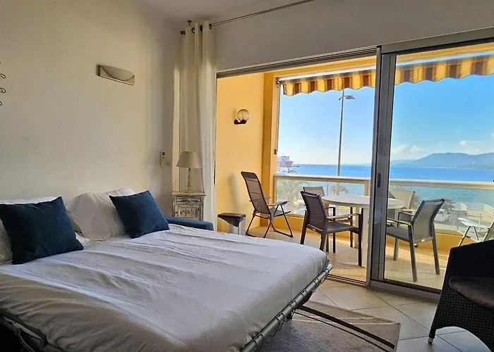 Bel Appartement T1 Devant La Plage, Face Mer *